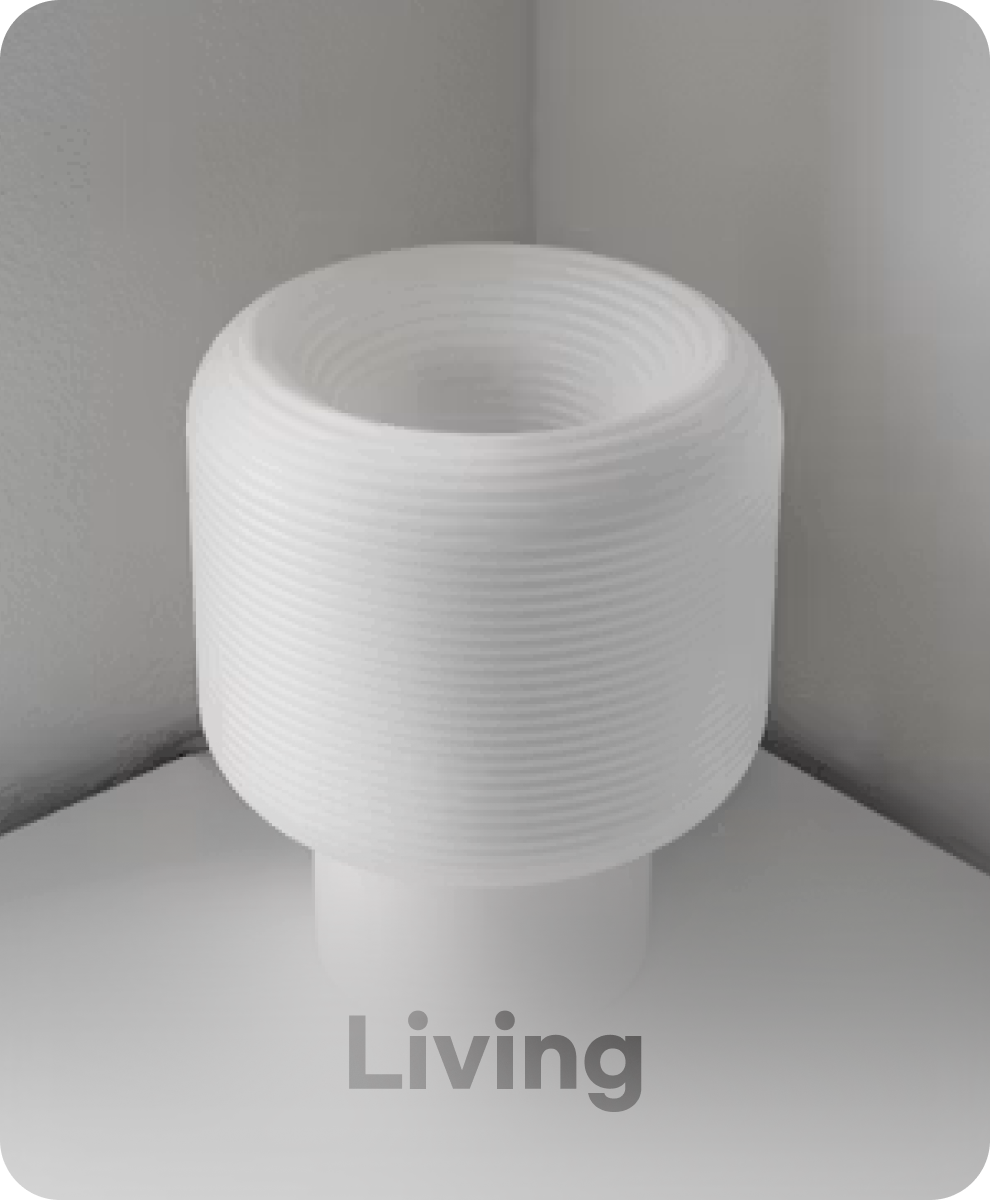 ��������Ȱ��ǰ(Living)