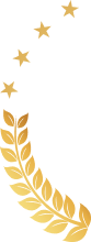 ̹