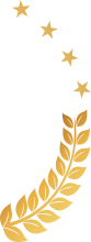 ̹